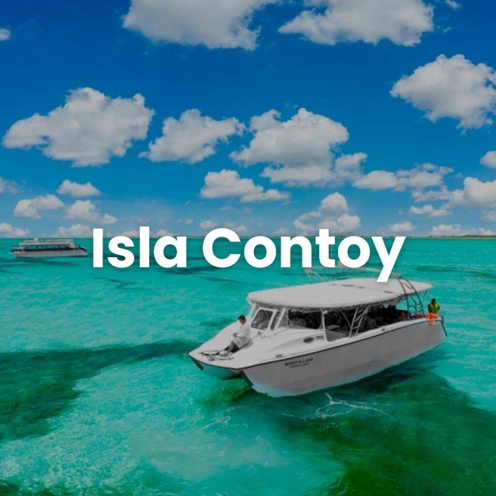 Traslado a tours isla contoy- transpotur