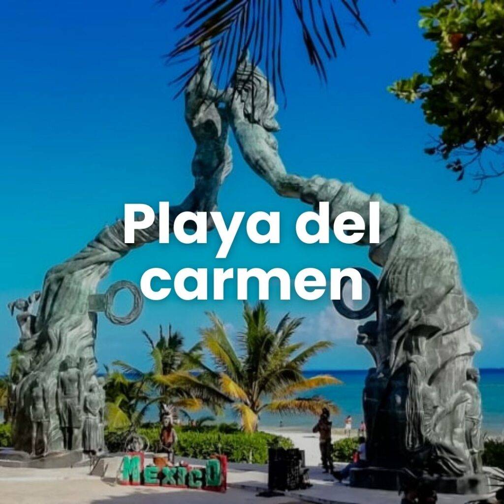 Traslado a playa del carmen- transpotur