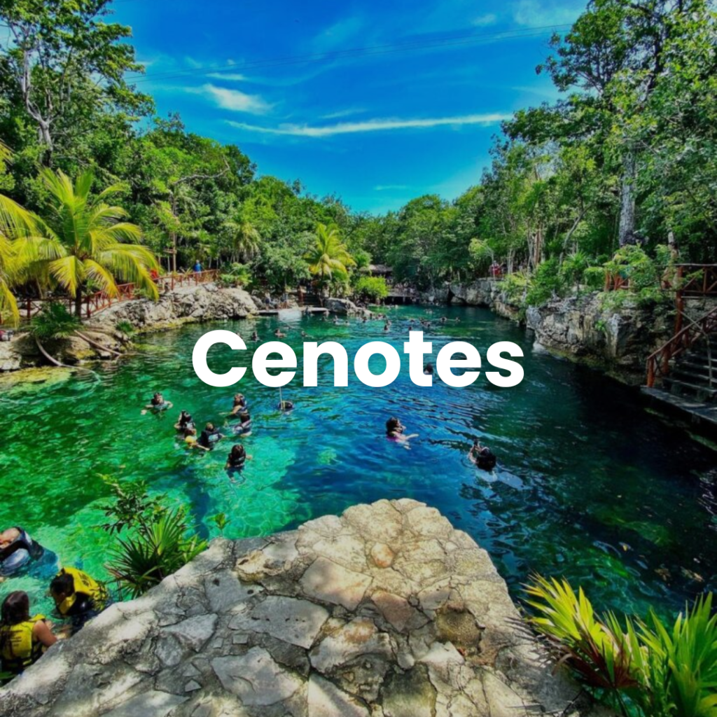 traslado a tour cenotes -transpotur